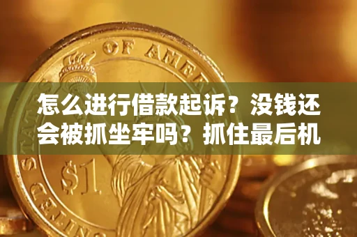 武汉怎么进行借款起诉？没钱还会被抓坐牢吗？抓住最后机会！