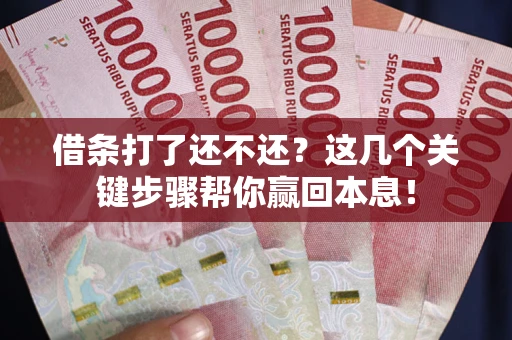 武汉借条打了还不还？这几个关键步骤帮你赢回本息！