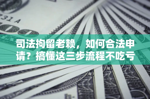 武汉司法拘留老赖，如何合法申请？搞懂这三步流程不吃亏！