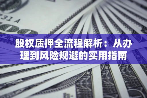 武汉股权质押全流程解析：从办理到风险规避的实用指南