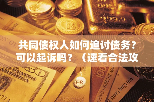 武汉共同债权人如何追讨债务？可以起诉吗？（速看合法攻略）