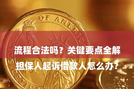 武汉

担保人起诉借款人怎么办？流程合法吗？关键要点全解析