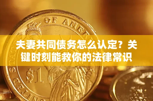武汉夫妻共同债务怎么认定？关键时刻能救你的法律常识