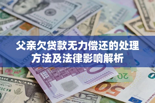 武汉父亲欠贷款无力偿还的处理方法及法律影响解析