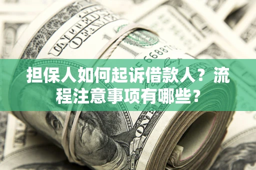 武汉担保人如何起诉借款人？流程注意事项有哪些？